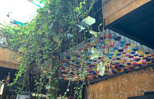 Reused plastic bottles at Hidden Gem Cafe